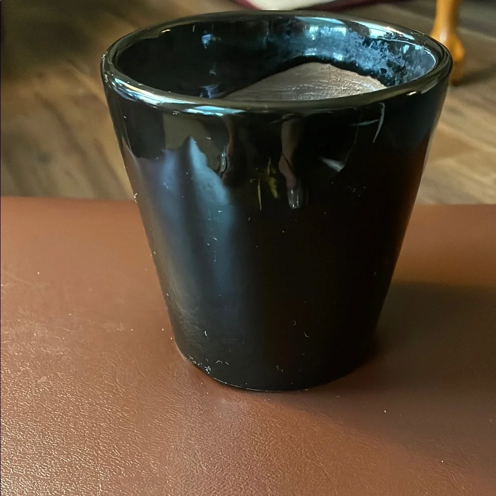 Elegant Black Flower Pot